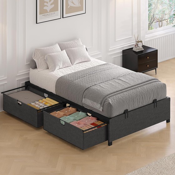 Twin Size Bed Frame with 2 Large Storage Drawers, Platform Bed with Drawers, Heavy Metal Slats Support, No Box Spring Needed, Noise Free, Easy Assembly, Dark Grey